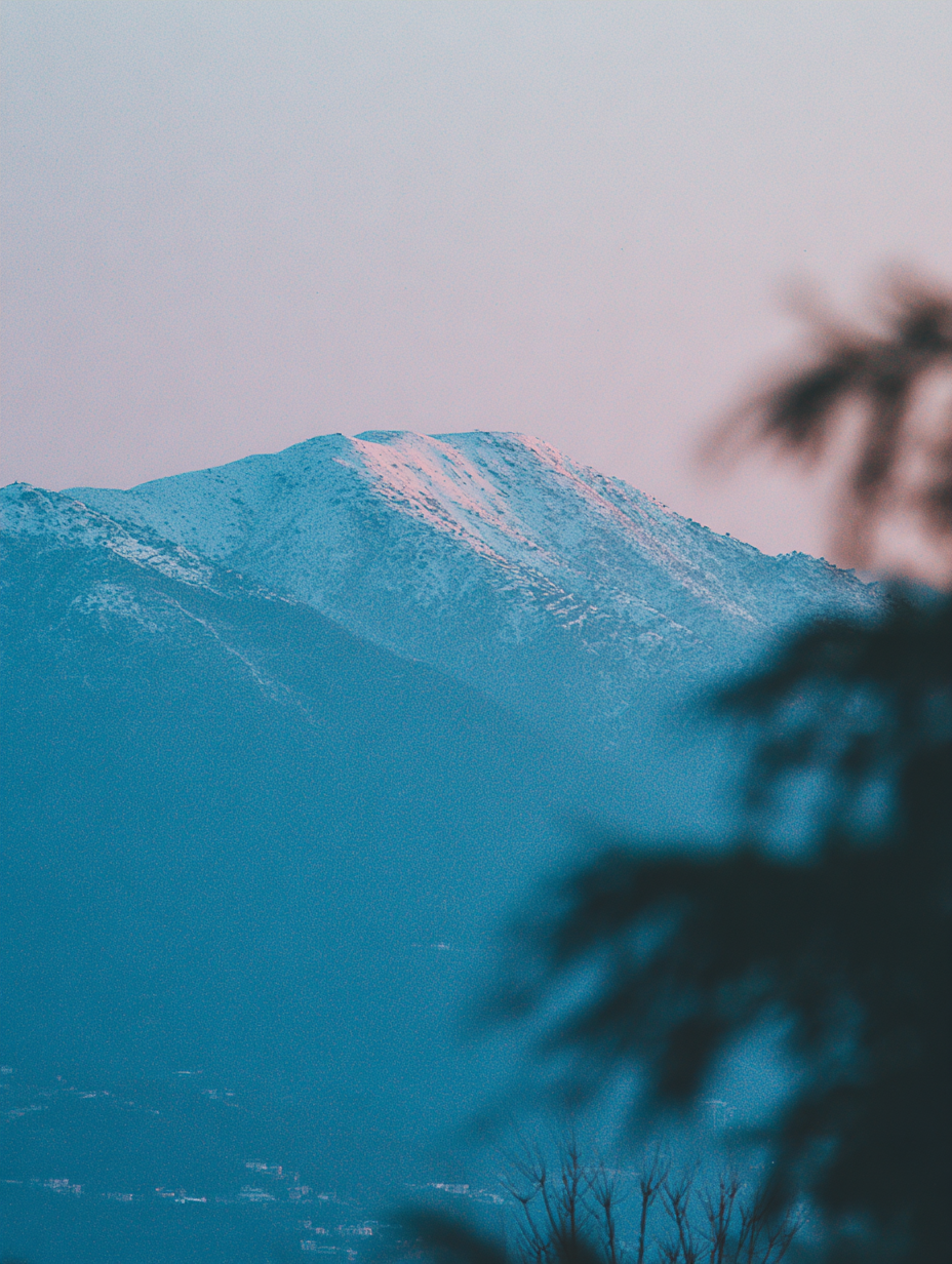 竹林外的雪山
